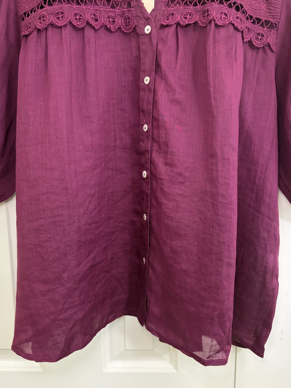 NWT Sundance Plum Embroidered Lace Puff Sleeve Ramie Button Down Bohemian Top XL - Picture 3 of 16